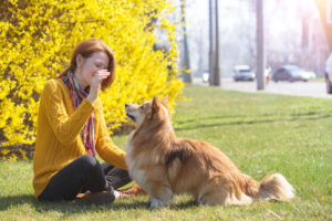 Woman signaling her corgi to sit.