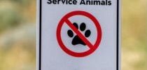 An outdoor sign that reads "Pets not permitted except service animals". There is a black pawprint with a red crossed out circle on top of it, indicating no pets allowed.