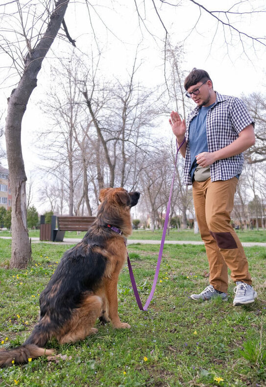A man training his dog using hand signals.