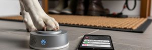 A dog pressing a communication button to communicate with their owner